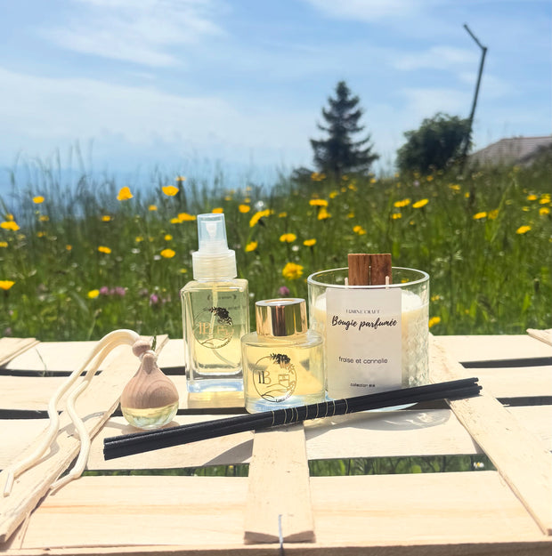 <h1>Kit diffuseur Fraise </h1>